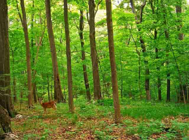 西安传销是如何进行洗脑的