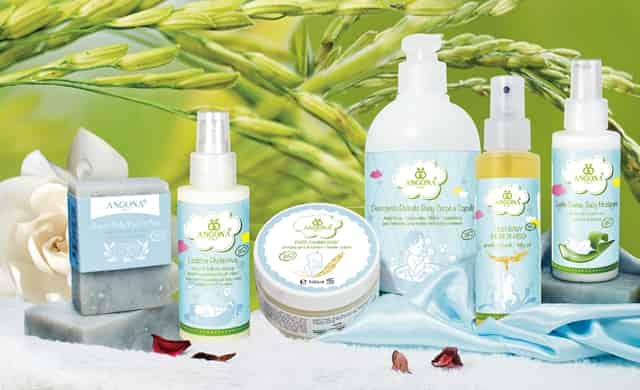 高考报志愿选专业城市还是选学校