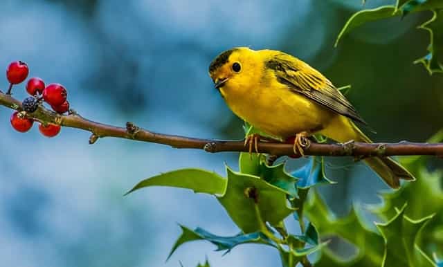 东京奥运会开幕空场
