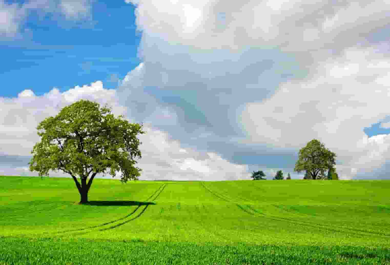 保姆纵火案杭州保姆长什么样