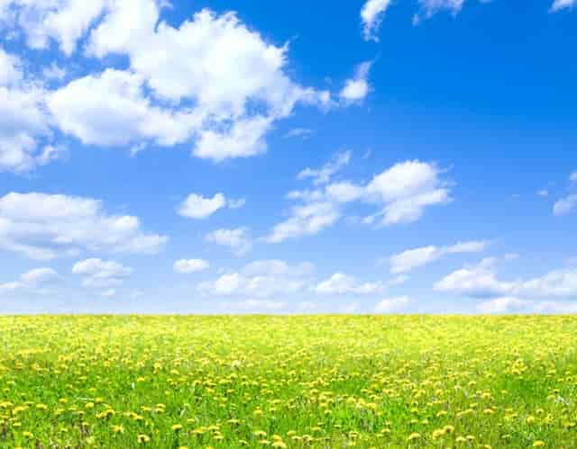 直销和传销有何区别？这些区别要知道！