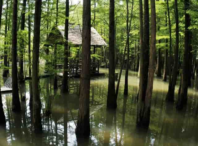 成都新年音乐会精彩上演