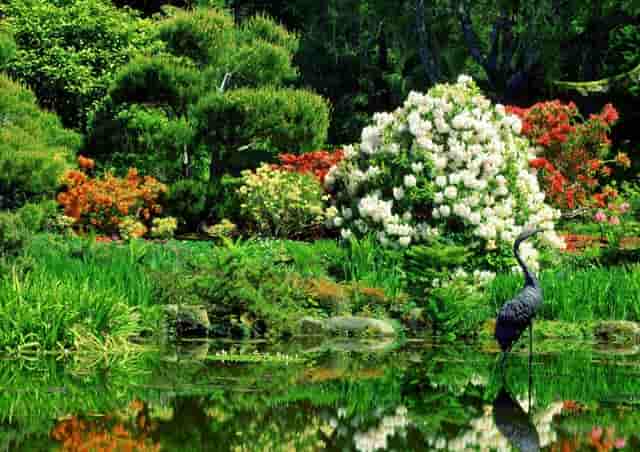 2022年最新优质域名投资