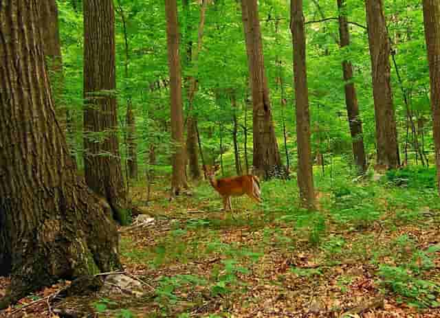 天目湖：产品迭代升级 经营创新突围