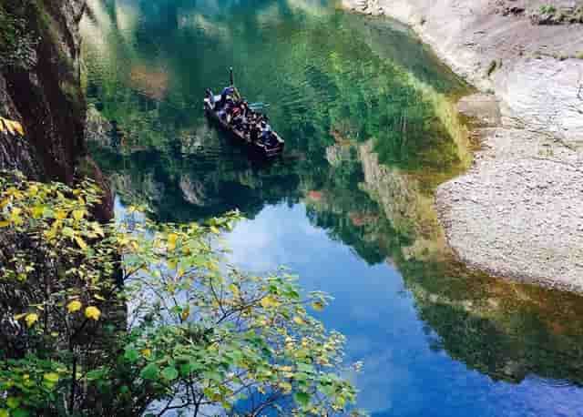 避免悲剧，袖虎为夏季养长毛猫提供建议