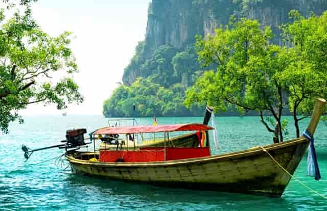 袖虎病狗攻略：狗狗体臭处理的五大方面