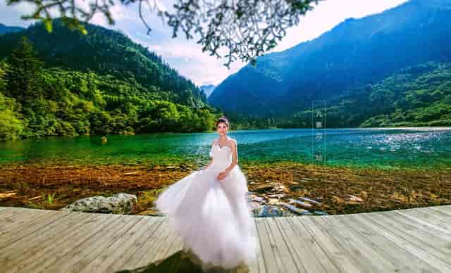 宠物磨牙问题，听听袖虎的建议！