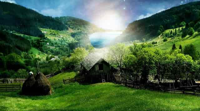 高考中考分数怎么查