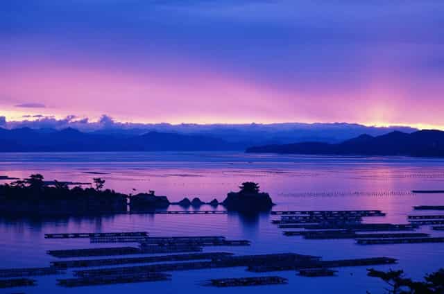 王情歌背后有故事