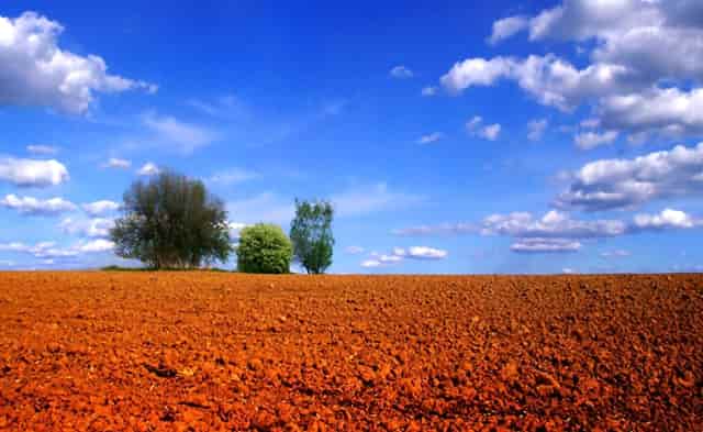 最新公布分数线(最新分数线预测)