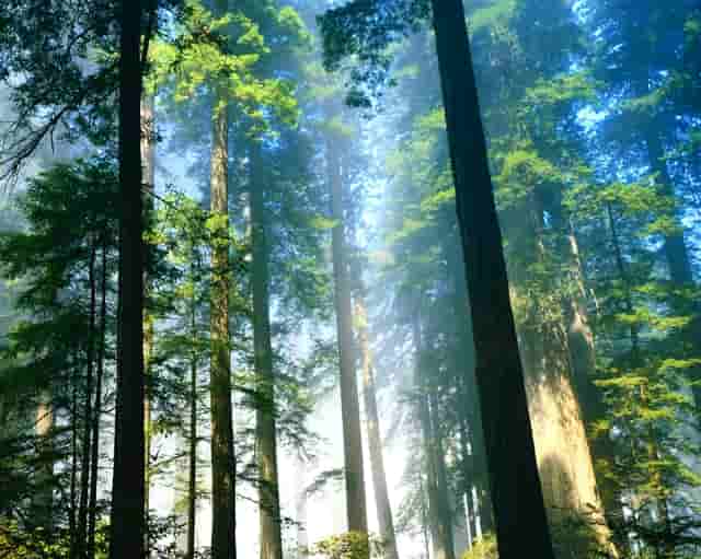 2021年麻城市理工录取分数线