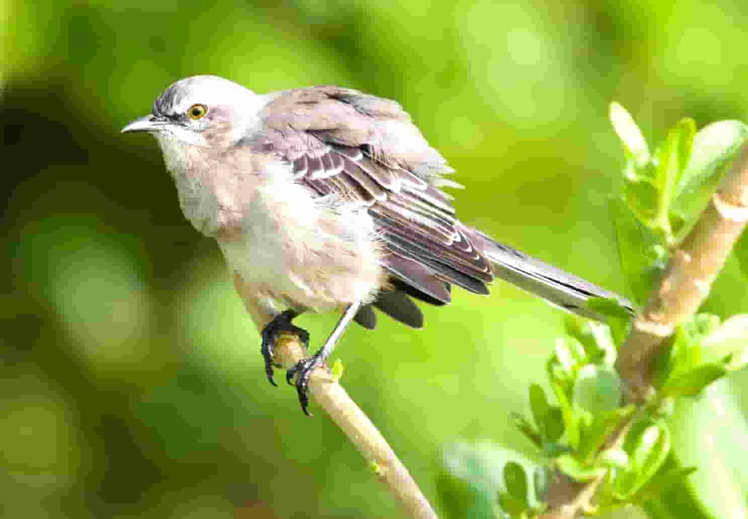 国际油价为什么不上涨