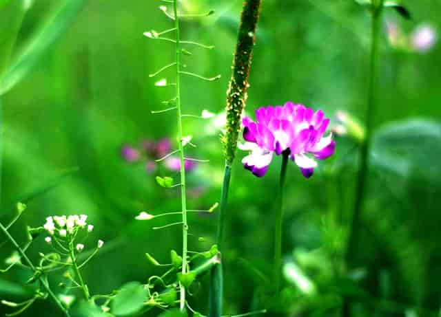 网络传销是什么呢？教你如何抵制网络传销