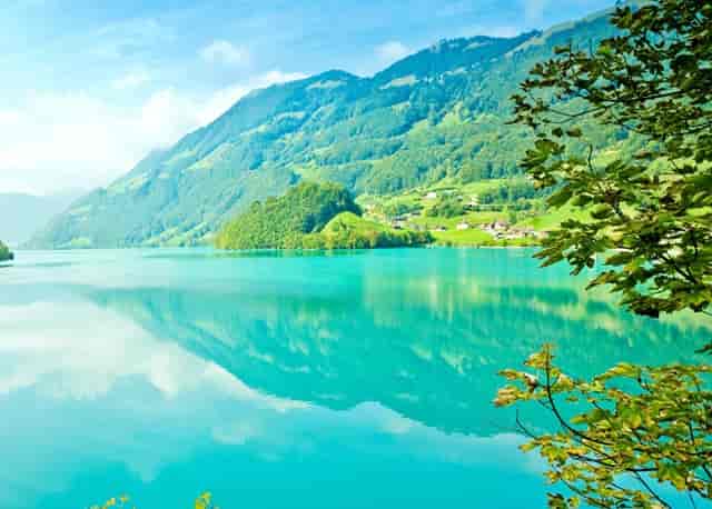 袖虎病狗攻略：犬趾间炎的二三事