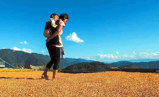 上一份工作没辞职