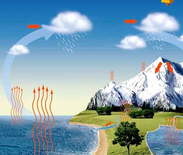 看袖虎如何解决养狗的第一大难题