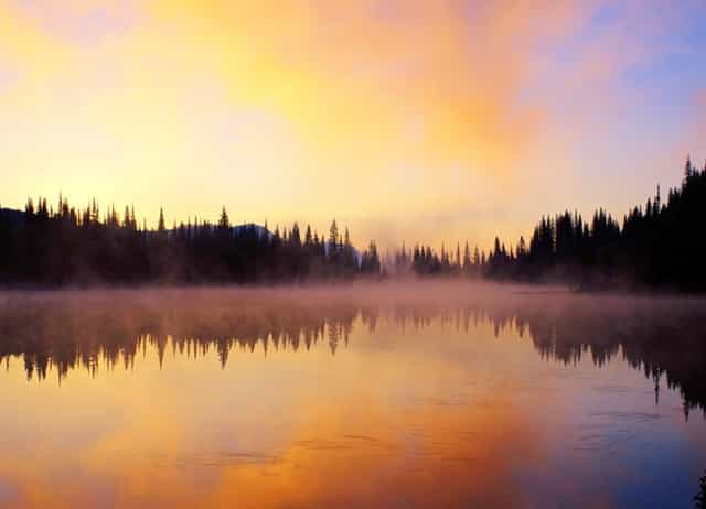 草堂读诗|故事:宗仁发《生命》