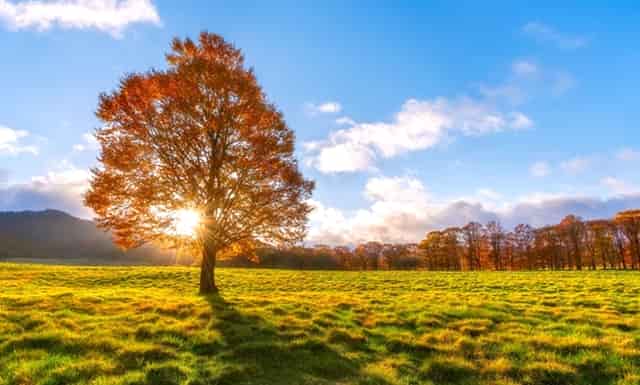 如果心里没有你的表现