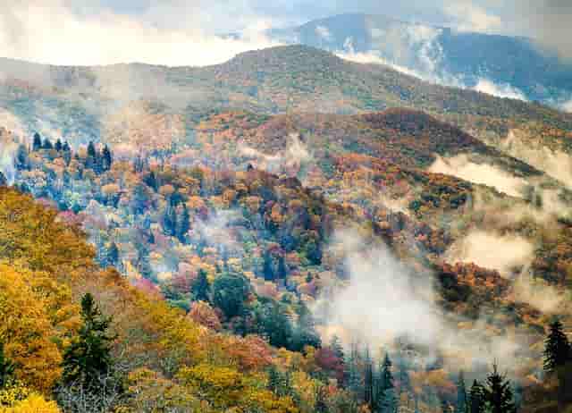 永恒之塔国服7.7