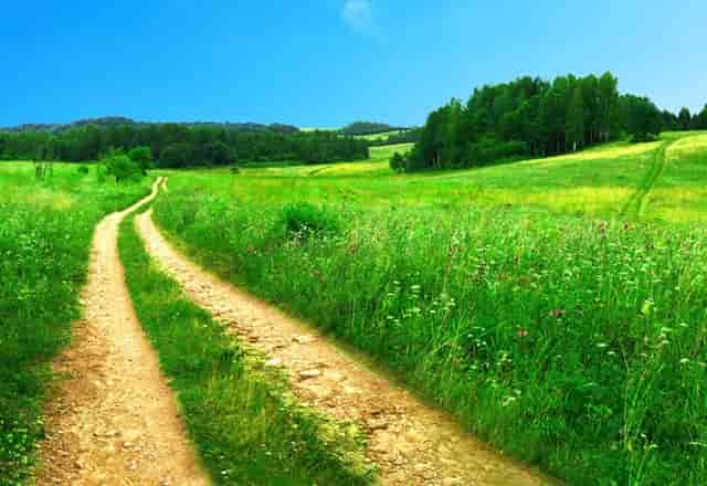 检察机关与生态环境部门公益诉讼(论述检察机关环境公益诉讼)