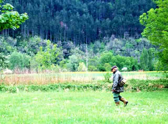 女强人的现状如何(如何追女强人)