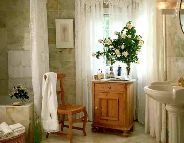 袖虎带你注意宠物美容的问题