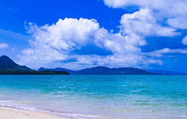 袖虎病狗攻略：哮喘的狗狗要小心