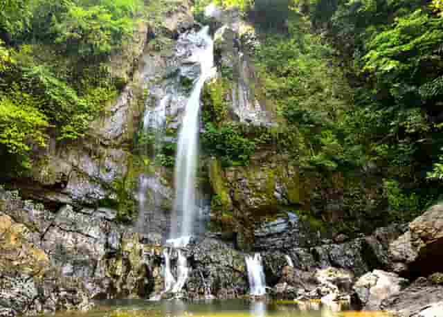 京东网络——最具投资价值域名