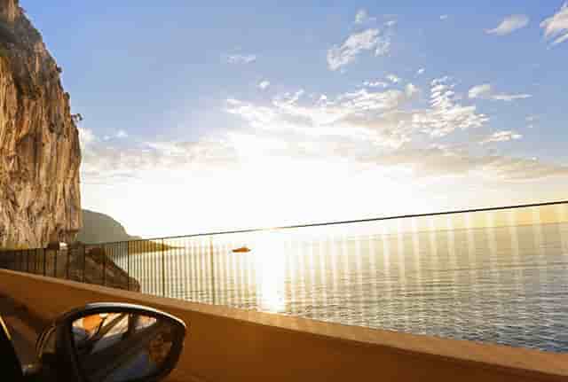 袖虎病猫攻略：盘点生活中对猫有害的食物