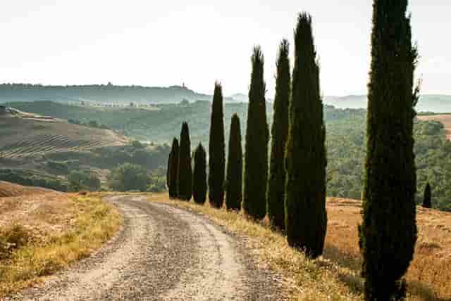 防沉迷网络游戏问题(防沉迷网络游戏安全教育)