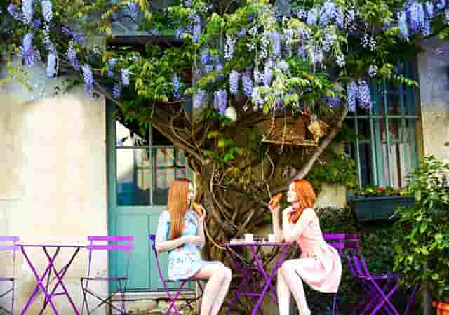 拉人头传销：7层代理发展下线年入百万不是梦？