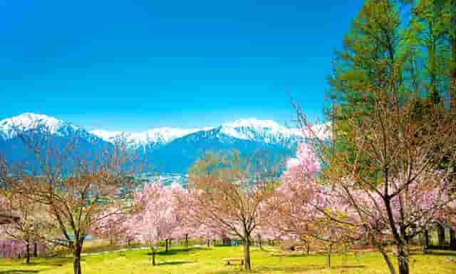 音乐剧《乳香飘（暂定名）》研讨会在内蒙古文联召开