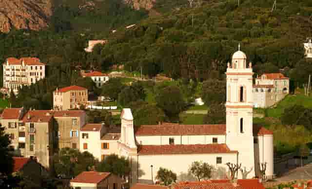 袖虎病狗攻略：为什么小狗也会口臭得让人受不了