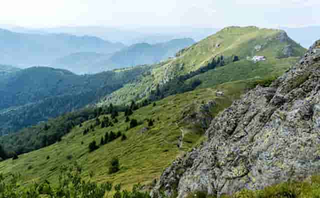 东京奥运会乒乓球女单中国(东京奥运会女子乒乓球直播)
