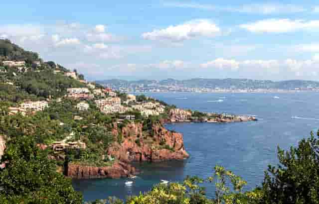 袖虎病猫攻略：猫爪子感染真菌怎么办