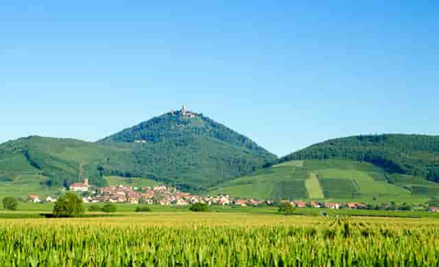 2022年最新优质域名投资