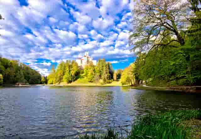 袖虎病猫攻略：猫咪吐粮是怎么回事