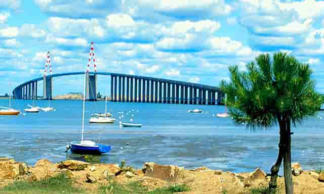 2022年最新优质域名投资第三批