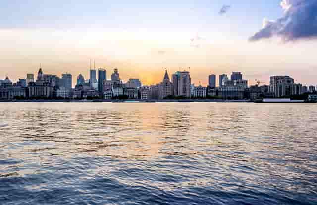 袖虎病猫攻略：猫咪的健康饮食推荐