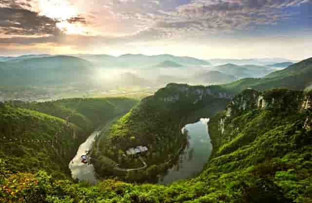 袖虎病猫攻略：小心换粮会软便！