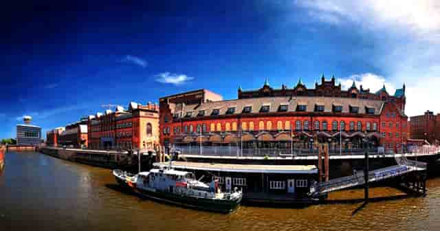 袖虎病猫攻略：猫咪体外驱虫怎么做？一点都不神秘