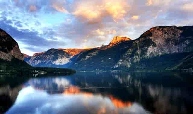 袖虎病猫攻略：猫脂肪肝的二三事