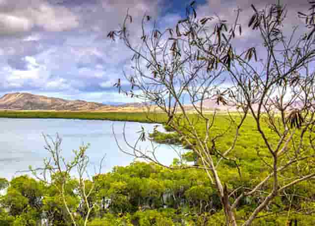 2022年最新优质平台（域名）投资第一批