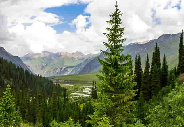 2022年最新优质域名投资第五批