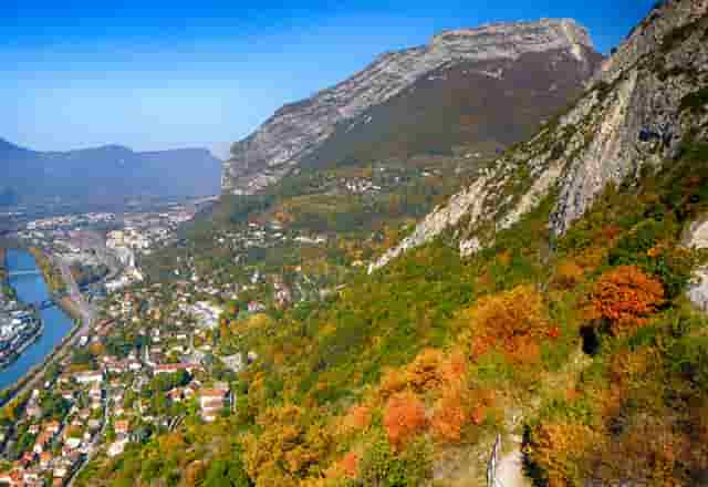 水饺韭菜馅放什么调料(水饺馅需要放什么调料)