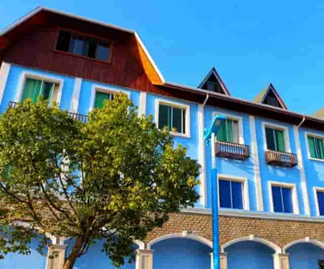 袖虎病狗攻略：狗狗体臭处理的五大方面