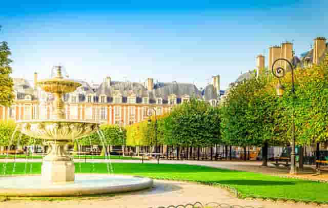 袖虎病猫攻略：毛球症