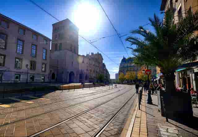 袖虎宠物加盟解惑，宠物店加盟品牌到底靠谱不？