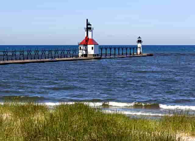 袖虎病猫攻略：怀孕养猫咪就一定会感染弓形虫吗？