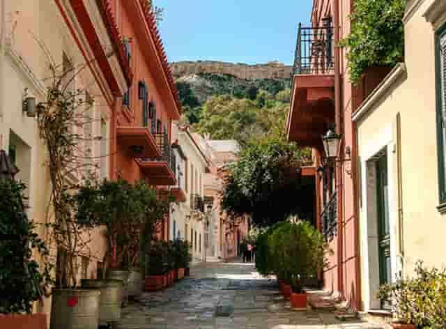 蕈龙能量开启植物饮料新赛道